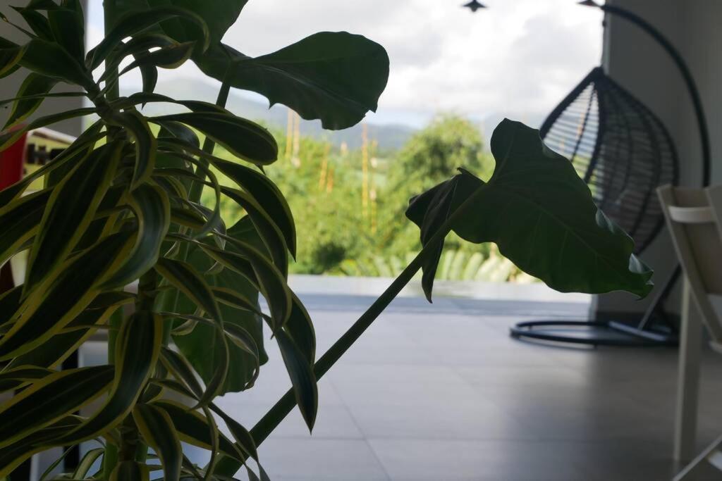 Villa Kumquat, avec piscine Clévacances 4 clés Petit-Bourg Exterior foto